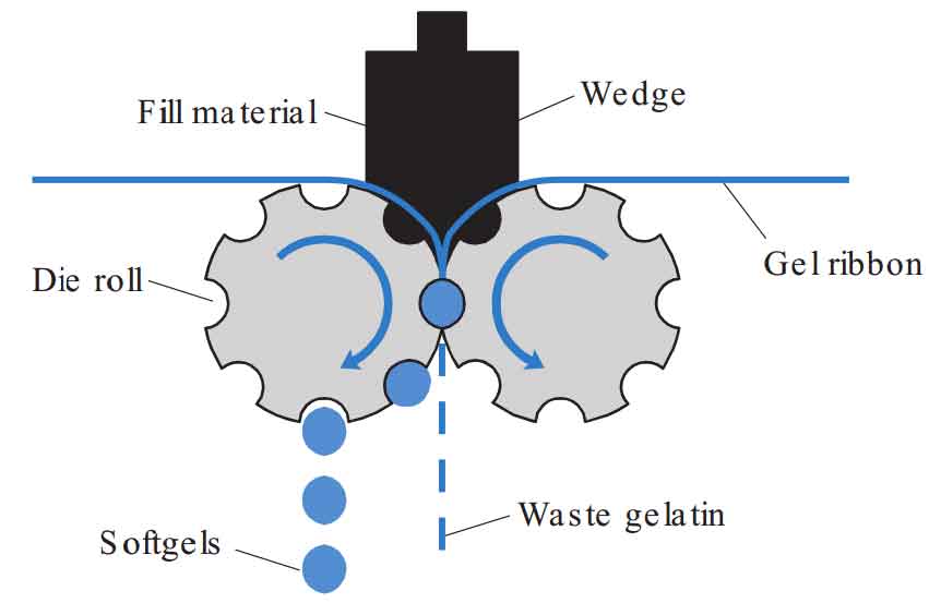 Softgel-formation-mechanism