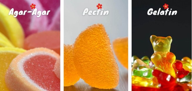 Agar-pectin-gelatin-gummy-comparison